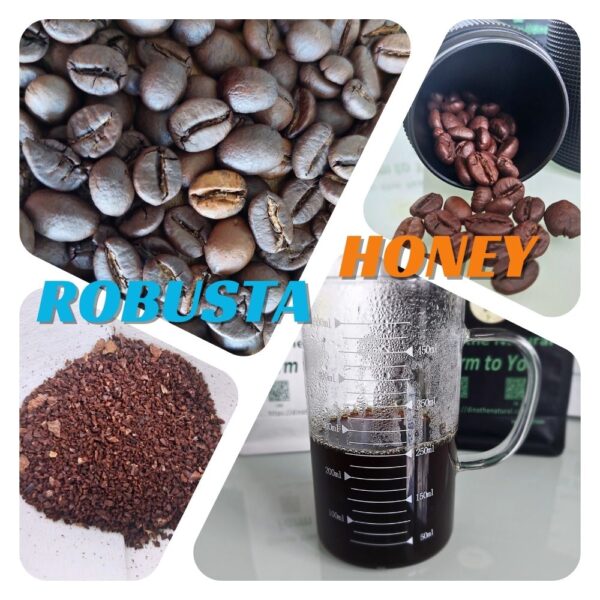 100% Robusta Honey S18：圖片 3