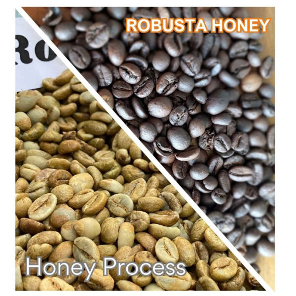 100% Robusta Honey S18：圖片 2