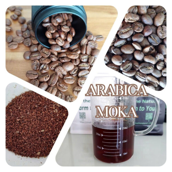 100% Arabica Moka S16/S18：圖片 2