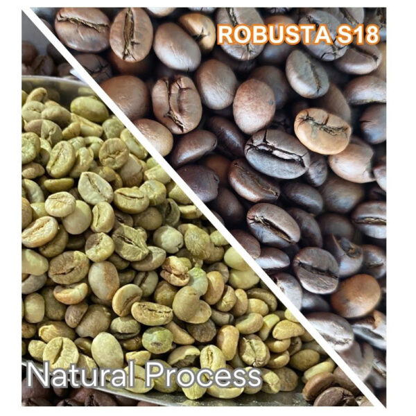 100% Robusta S16/S18：圖片 2